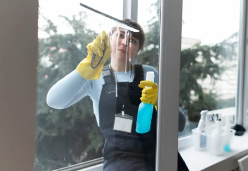 Nettoyage de vitres intérieures et extérieures à la Hague